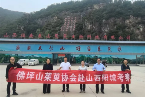 李茂武 | 更把茱萸仔細(xì)看——佛坪縣山茱萸協(xié)會赴山西陽城交流記